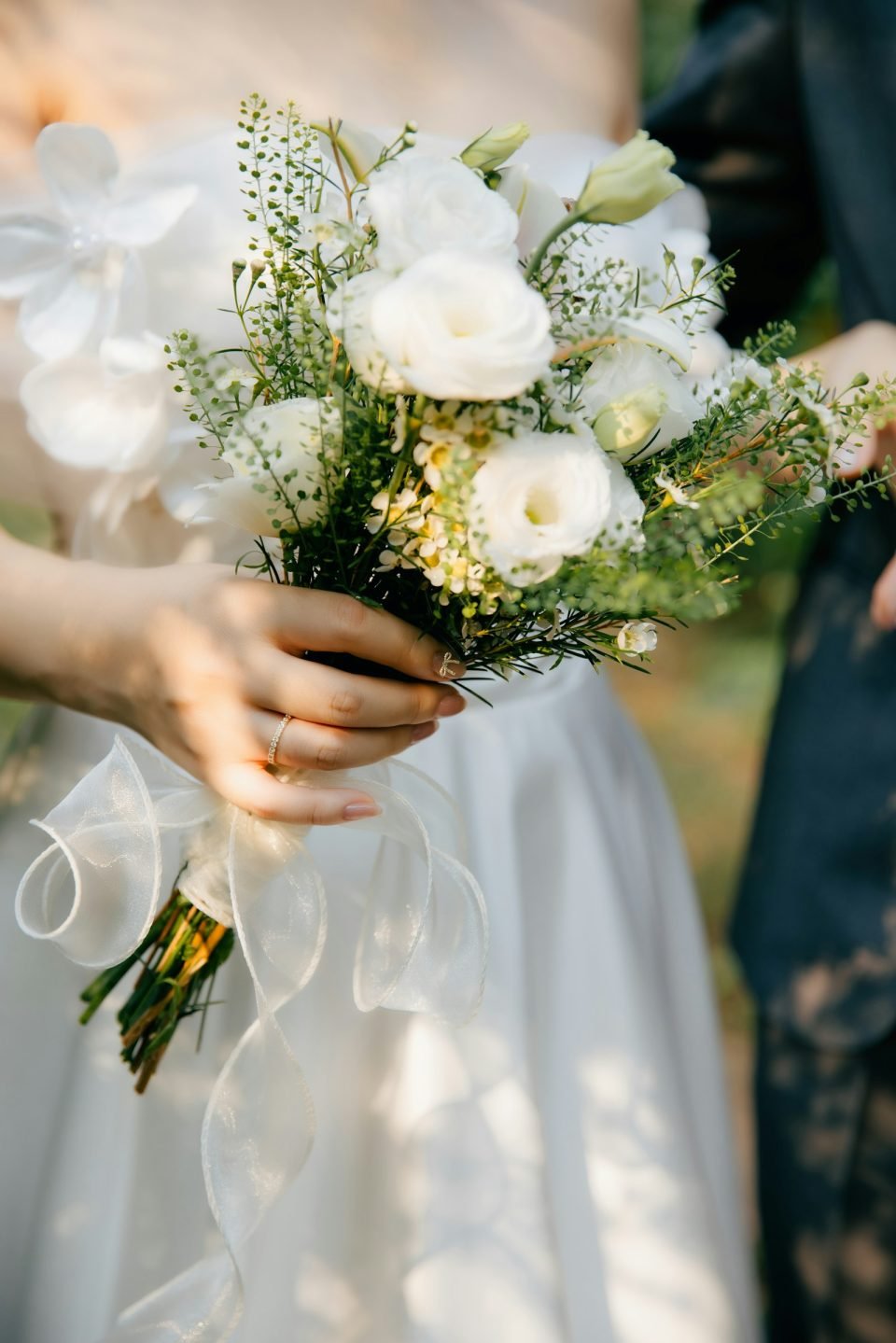 Soft peach roses