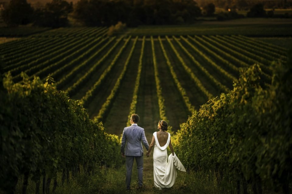 Daniel and Maria walking hand in hand between rows of vines at sunset